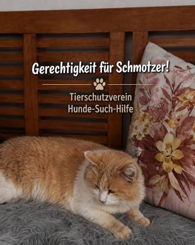 Originalaufnahme von Schmotzer in einem ruhigen Moment